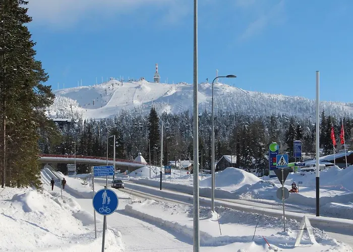 Huoneisto Rukanloimu